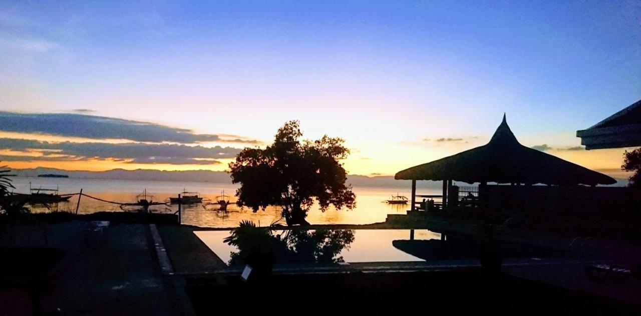 Cebu Seaview Dive Resort Moalboal Extérieur photo